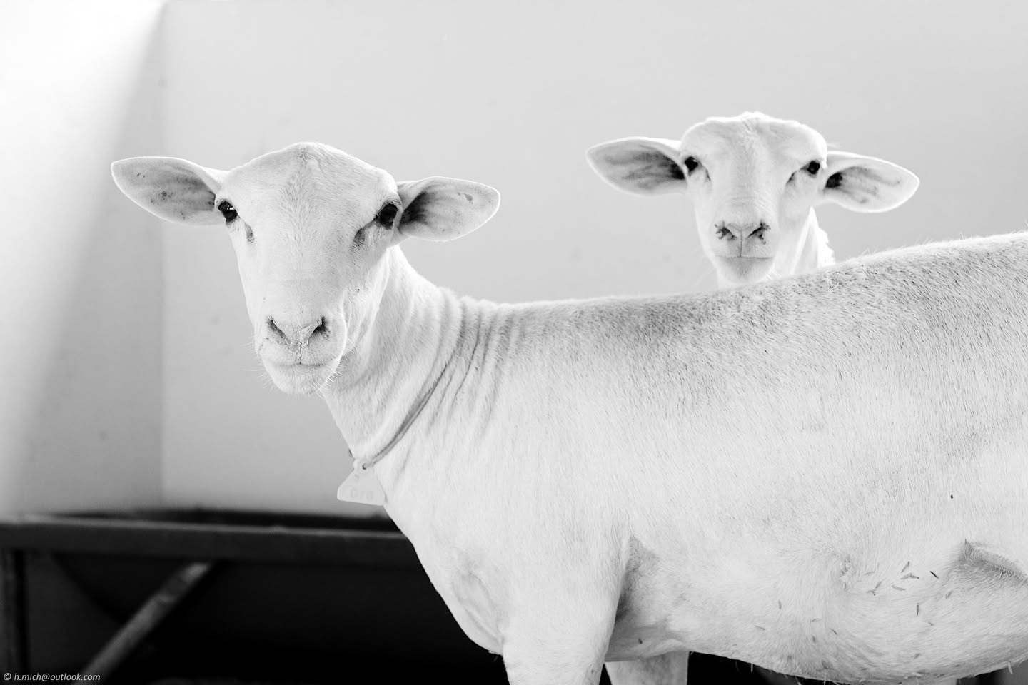 ethical hacking is ...