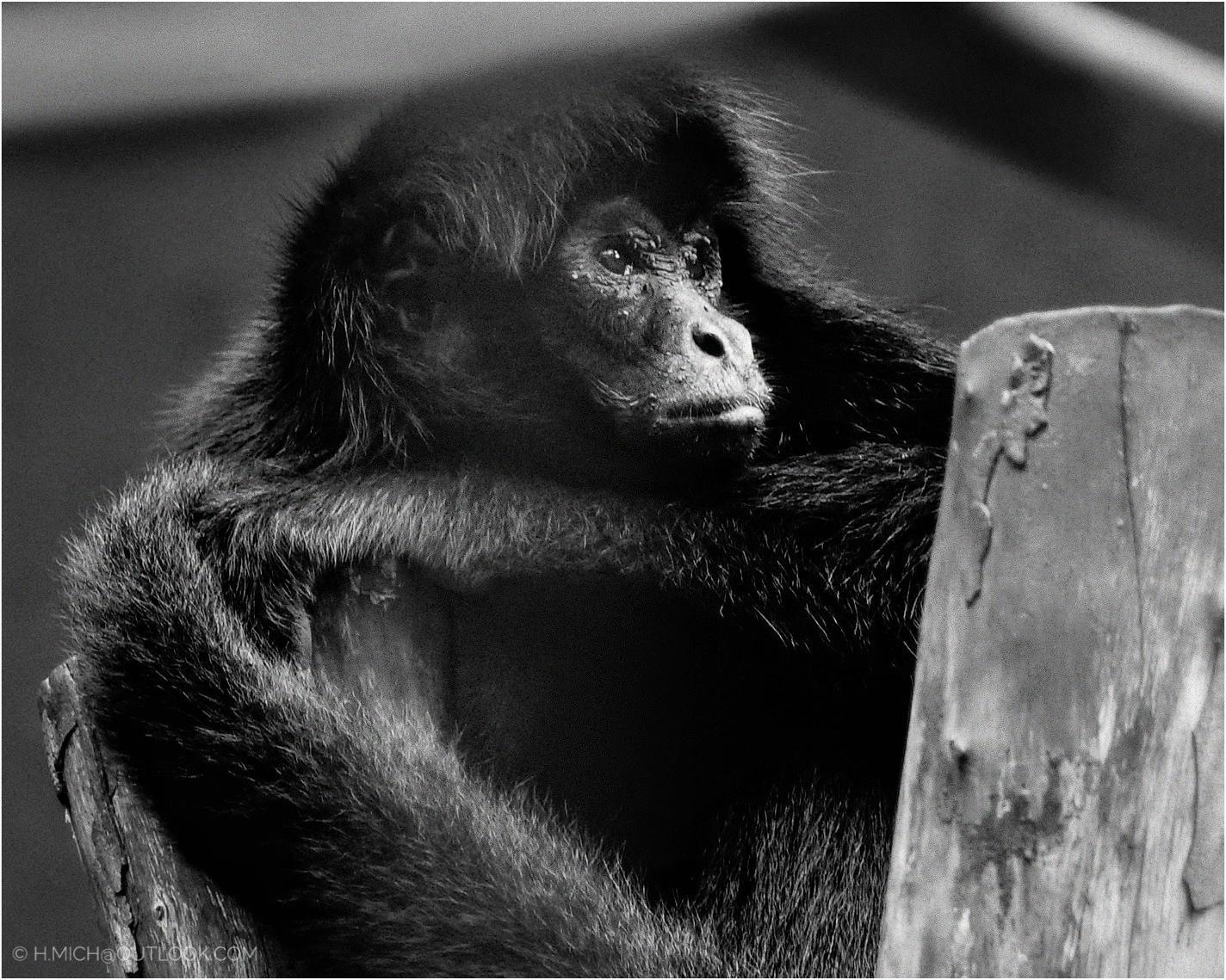 wpHakka.com.br - Metro Underground Framework for