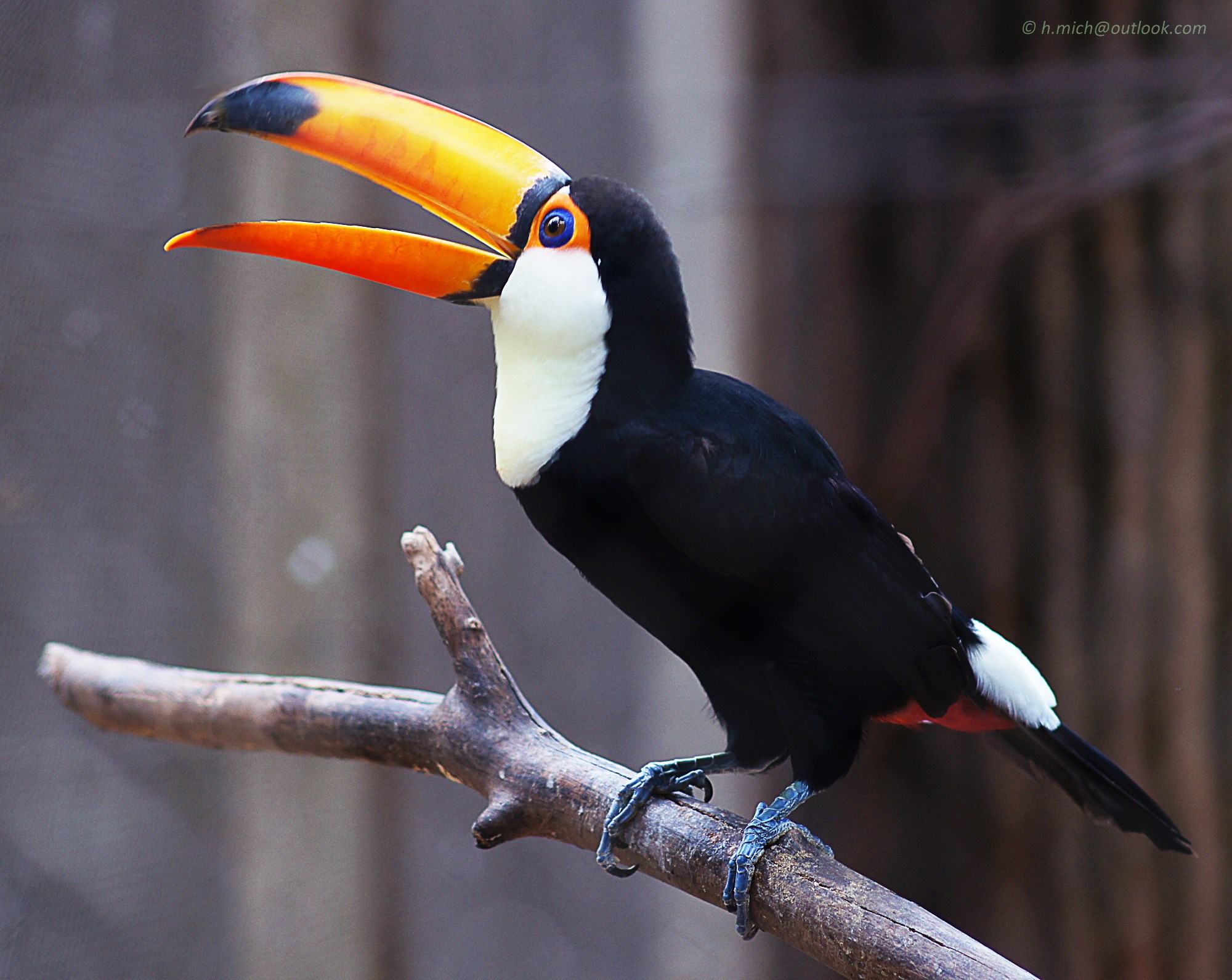 wpHakka.com.br - Metro Underground Framework for