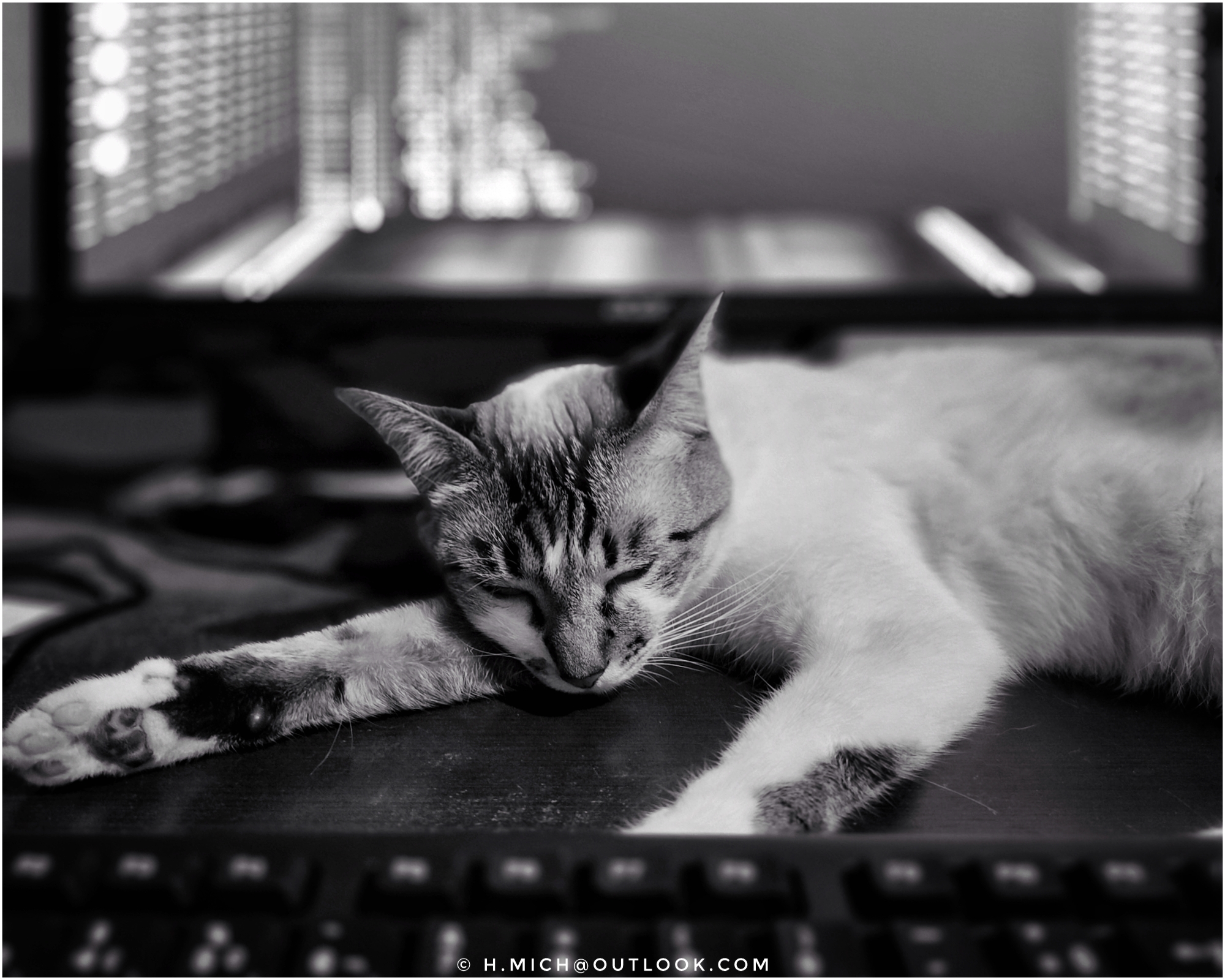 wpHakka.com.br - underground guerrilla - plugin arsenal for wp warfare