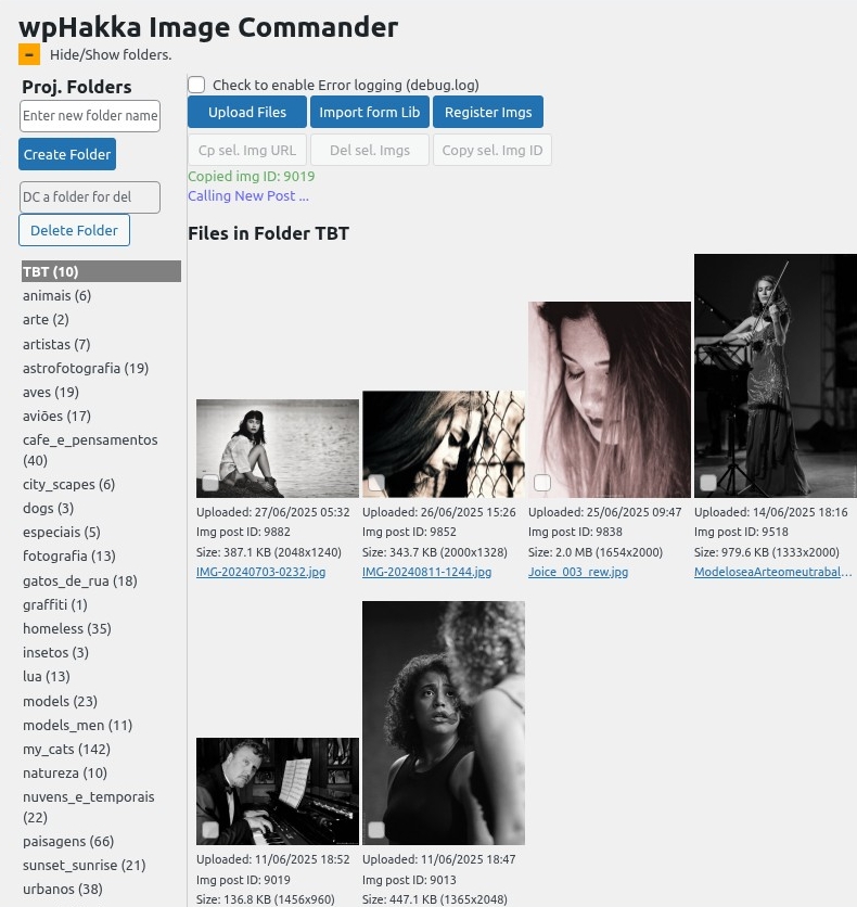 wpHakka.com.br, underground guerrilla, wp's media library is a joke, we fix it 